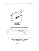 TUMOR TARGETED TNF-RELATED APOPTOSIS INDUCING LIGAND FUSION POLYPEPTIDE,     METHODS AND USES THEREFOR diagram and image