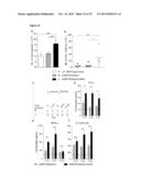 HEXON TAT-PTD MODIFIED ADENOVIRUS AND USES THEREOF diagram and image