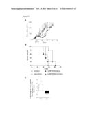 HEXON TAT-PTD MODIFIED ADENOVIRUS AND USES THEREOF diagram and image