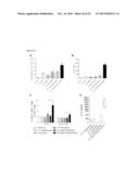 HEXON TAT-PTD MODIFIED ADENOVIRUS AND USES THEREOF diagram and image