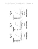 ANTAGONIST ANTIBODY FOR THE TREATMENT OF CANCER diagram and image