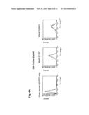 ANTAGONIST ANTIBODY FOR THE TREATMENT OF CANCER diagram and image