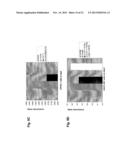 ANTAGONIST ANTIBODY FOR THE TREATMENT OF CANCER diagram and image