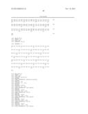 ANTAGONIST ANTIBODY FOR THE TREATMENT OF CANCER diagram and image