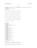 ANTAGONIST ANTIBODY FOR THE TREATMENT OF CANCER diagram and image