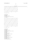 ANTAGONIST ANTIBODY FOR THE TREATMENT OF CANCER diagram and image