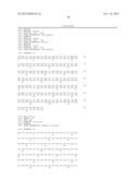 ANTAGONIST ANTIBODY FOR THE TREATMENT OF CANCER diagram and image