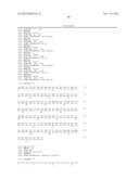 ANTAGONIST ANTIBODY FOR THE TREATMENT OF CANCER diagram and image