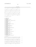 ANTAGONIST ANTIBODY FOR THE TREATMENT OF CANCER diagram and image