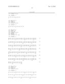 ANTAGONIST ANTIBODY FOR THE TREATMENT OF CANCER diagram and image