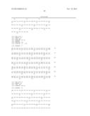 ANTAGONIST ANTIBODY FOR THE TREATMENT OF CANCER diagram and image