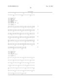 ANTAGONIST ANTIBODY FOR THE TREATMENT OF CANCER diagram and image