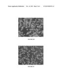 ZEAXANTHIN FOR TUMOR TREATMENT diagram and image