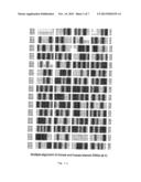 COMPOSITIONS FOR DIAGNOSIS AND THERAPY OF DISEASES ASSOCIATED WITH     ABERRANT EXPRESSION OF KREMEN AND OR WNT diagram and image