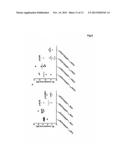 MODULATORS OF IL-12 AND/OR IL-23 FOR THE PREVENTION OR TREATMENT OF     ALZHEIMER S DISEASE diagram and image