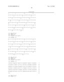 HUMAN CYTOMEGALOVIRUS NEUTRALIZING ANTIBODIES AND USE THEREOF diagram and image