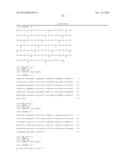 HUMAN CYTOMEGALOVIRUS NEUTRALIZING ANTIBODIES AND USE THEREOF diagram and image