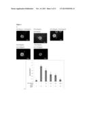 Co-Delivery Of Stimulatory And Inhibitory Factors To Create Temporally     Stable And Spatially Restricted Zones diagram and image