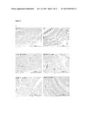 Co-Delivery Of Stimulatory And Inhibitory Factors To Create Temporally     Stable And Spatially Restricted Zones diagram and image