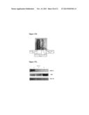 Co-Delivery Of Stimulatory And Inhibitory Factors To Create Temporally     Stable And Spatially Restricted Zones diagram and image