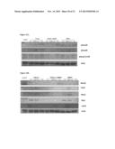 Co-Delivery Of Stimulatory And Inhibitory Factors To Create Temporally     Stable And Spatially Restricted Zones diagram and image