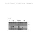 Co-Delivery Of Stimulatory And Inhibitory Factors To Create Temporally     Stable And Spatially Restricted Zones diagram and image