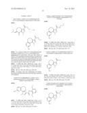 TRICYCLIC DERIVATIVES, PROCESS FOR THEIR PREPARATION AND THEIR USE AS     KINASE INHIBITORS diagram and image