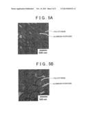 METHOD OF FABRICATING INSULATING RESIN MATERIAL diagram and image