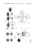 Special interchangeable accessory line device and the business method for     its implementation as an enterprise diagram and image