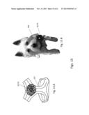 Special interchangeable accessory line device and the business method for     its implementation as an enterprise diagram and image