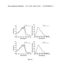 SELF ASSEMBLY OF NAPHTHALENE DIIMIDE DERIVATES AND PROCESS THEREOF diagram and image