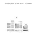 MODIFIED SURFACES AS SOLID SUPPORTS FOR NUCLEIC ACID PURIFICATION diagram and image