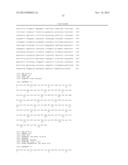 T1R HETERO-OLIGOMERIC TASTE RECEPTORS AND CELL LINES THAT EXPRESS SAID     RECEPTORS AND USE THEREOF FOR IDENTIFICATION OF TASTE COMPOUNDS diagram and image