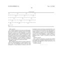 T1R HETERO-OLIGOMERIC TASTE RECEPTORS AND CELL LINES THAT EXPRESS SAID     RECEPTORS AND USE THEREOF FOR IDENTIFICATION OF TASTE COMPOUNDS diagram and image