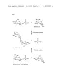 TREHALOSE PHOSPHORYLASES AND THEIR USE IN THE BIOCATALYTIC PRODUCTION OF     TREHALOSE-ANALOGUES AND GLYCOSYL PHOSPHATES diagram and image