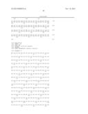 EXPRESSION OF PLANT PEROXIDASES IN FILAMENTOUS FUNGI diagram and image