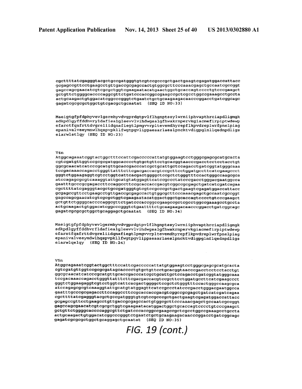 POLYNUCLEOTIDES ENCODING MUTANT HYDROLASE PROTEINS WITH ENHANCED KINETICS     AND FUNCTIONAL EXPRESSION - diagram, schematic, and image 26