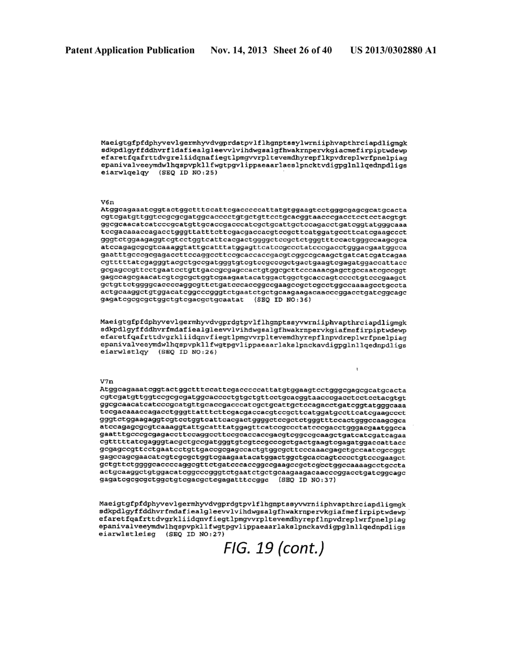 POLYNUCLEOTIDES ENCODING MUTANT HYDROLASE PROTEINS WITH ENHANCED KINETICS     AND FUNCTIONAL EXPRESSION - diagram, schematic, and image 27