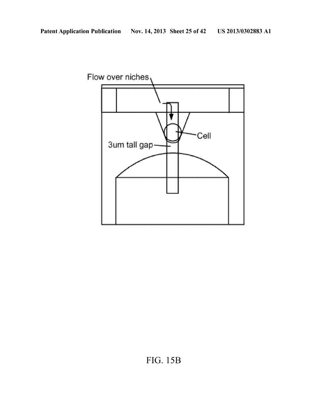 METHODS, SYSTEMS AND DEVICES FOR MULTIPLE SINGLE-CELL CAPTURING AND     PROCESSING USING MICROFLUIDICS - diagram, schematic, and image 26