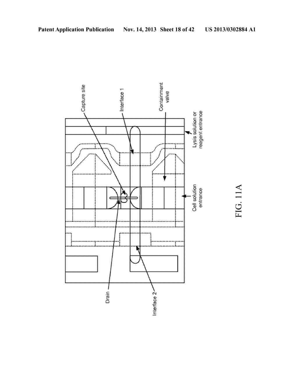 METHODS, SYSTEMS AND DEVICES FOR MULTIPLE SINGLE-CELL CAPTURING AND     PROCESSING USING MICROFLUIDICS - diagram, schematic, and image 19