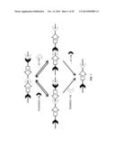 MULTIFUNCTIONAL ALLELES diagram and image