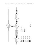 MULTIFUNCTIONAL ALLELES diagram and image