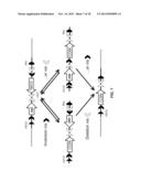 MULTIFUNCTIONAL ALLELES diagram and image