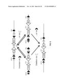 MULTIFUNCTIONAL ALLELES diagram and image