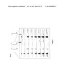 MULTIFUNCTIONAL ALLELES diagram and image