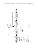 MULTIFUNCTIONAL ALLELES diagram and image