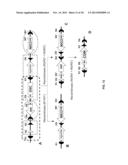 MULTIFUNCTIONAL ALLELES diagram and image