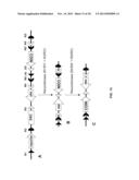 MULTIFUNCTIONAL ALLELES diagram and image