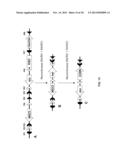 MULTIFUNCTIONAL ALLELES diagram and image