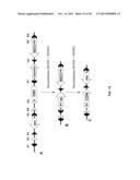 MULTIFUNCTIONAL ALLELES diagram and image